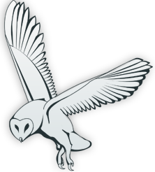 100 % free live gay see each other grany intercourse chat